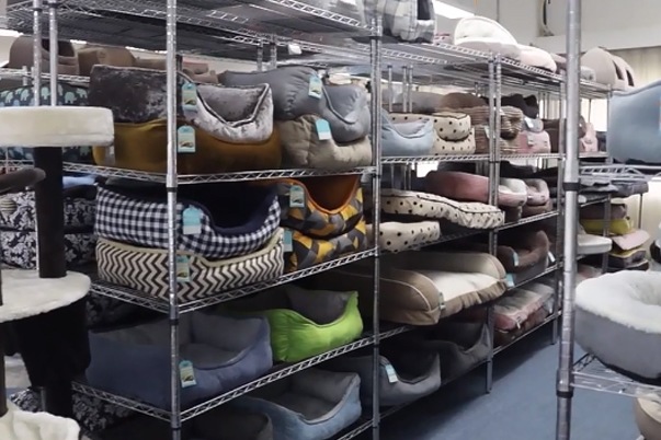 Swiss pet products market analysis: Experience and environmental protection