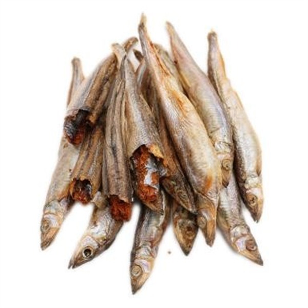 Capelin