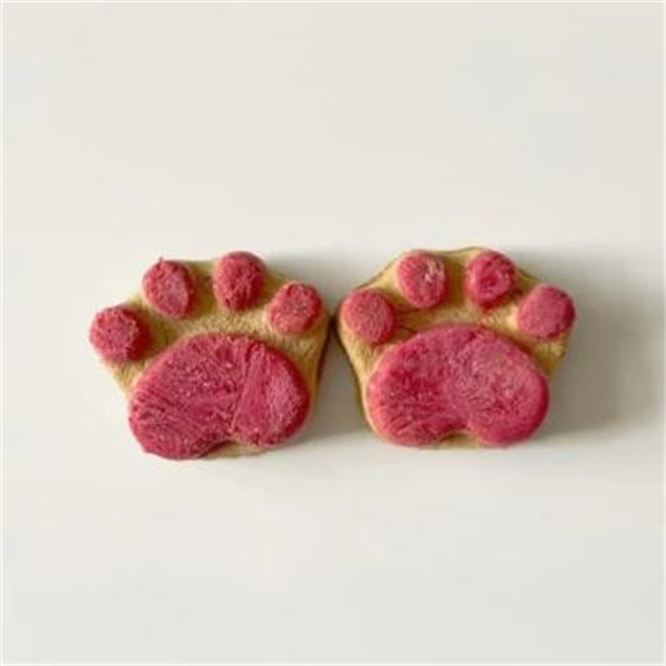 Freeze-dried Chicken & Dragon Fruit