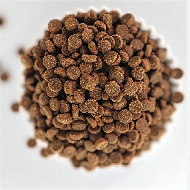 High Absorption Digestible Cat Food M002