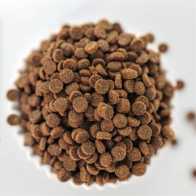 High Absorption Digestible All-stage Cat Food M008